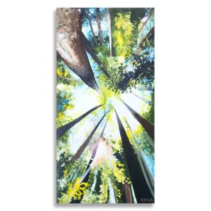 Redwood Love Canvas Print