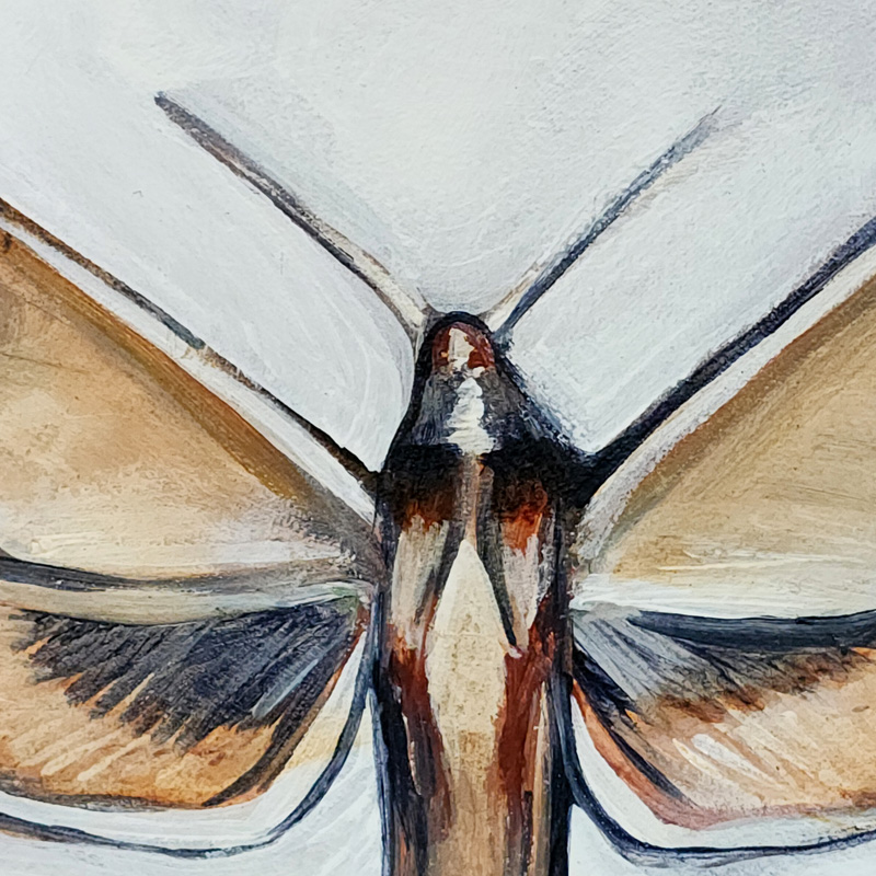 Close-up detail of Cedar Lee painting: Sphinx Moth 1