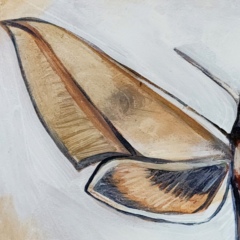 Close-up detail of Cedar Lee Painting: Sphinx Moth 1