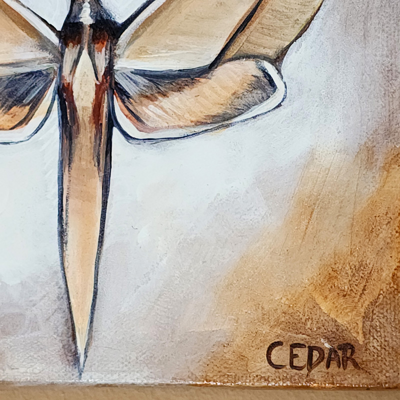 Close-up detail of Cedar Lee Painting: Sphinx Moth 1