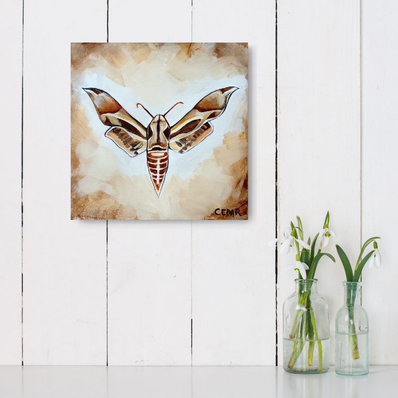 Sphinx Moth 2 Painting by Cedar Lee