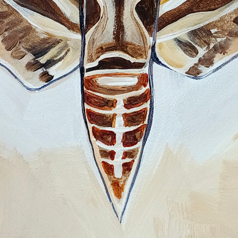 Close-up detail of Cedar Lee Painting: Sphinx Moth 1