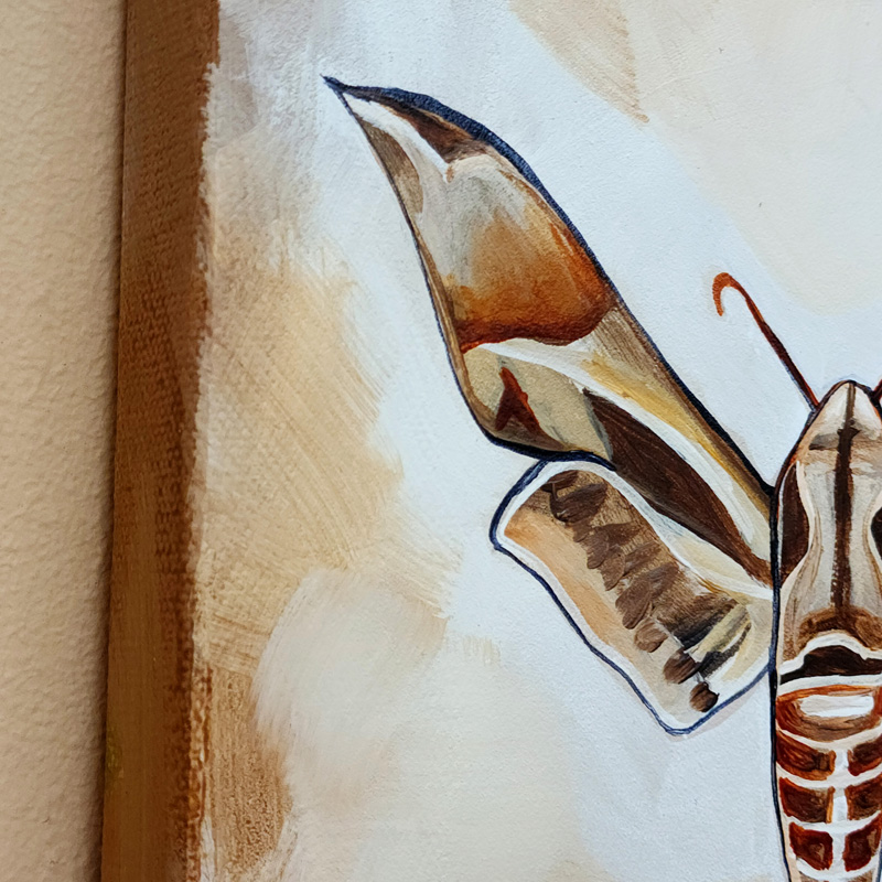Close-up detail of Cedar Lee Painting: Sphinx Moth 2