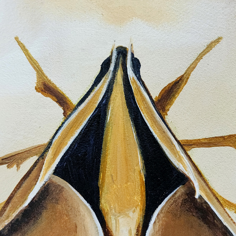 Close-up detail of Cedar Lee Painting: Sphinx Moth 3