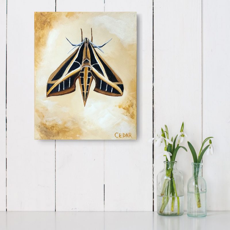 Sphinx Moth 4 Painting by Cedar Lee