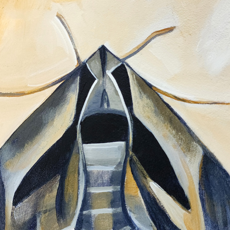 Close-up detail of Cedar Lee Painting: Sphinx Moth 5