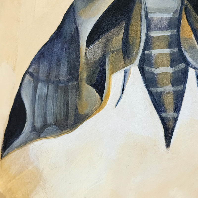 Close-up detail of Cedar Lee Painting: Sphinx Moth 5