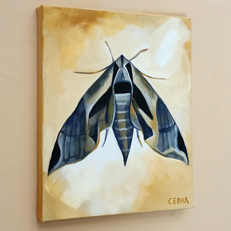 Cedar Lee Painting: Sphinx Moth 5