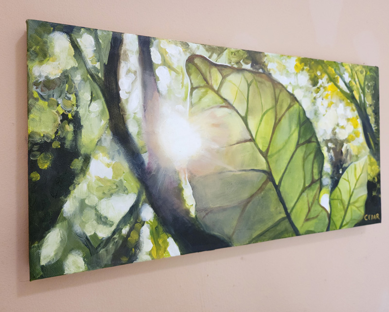 Sun Through Leaf: Art by Cedar Lee on wall