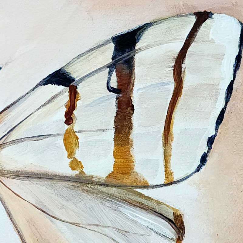Close-up detail of Cedar Lee Painting: Tropical Moth 1