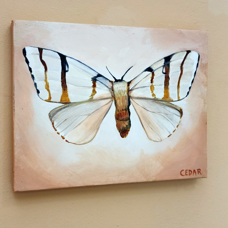 Cedar Lee Painting: Tropical Moth 1