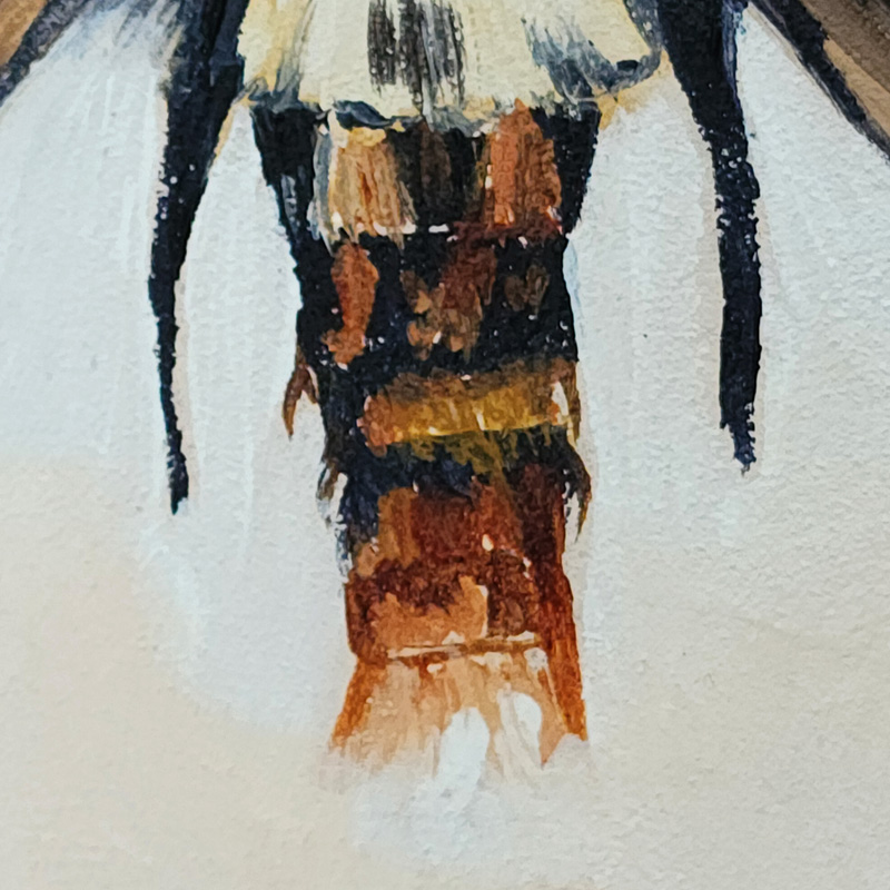 Close-up detail of Cedar Lee Painting: Tropical Moth 2
