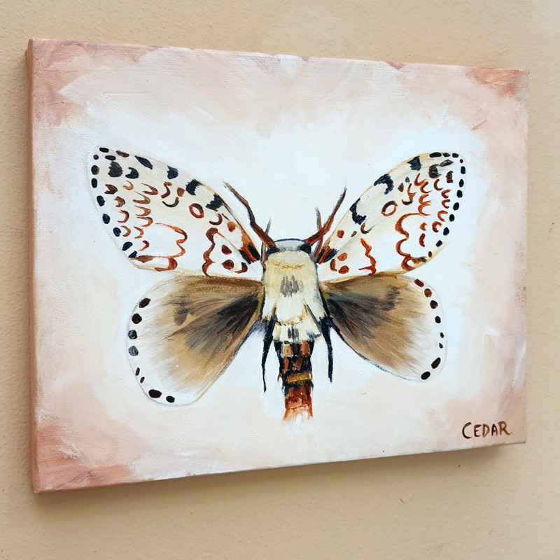 Cedar Lee Painting: Tropical Moth 2