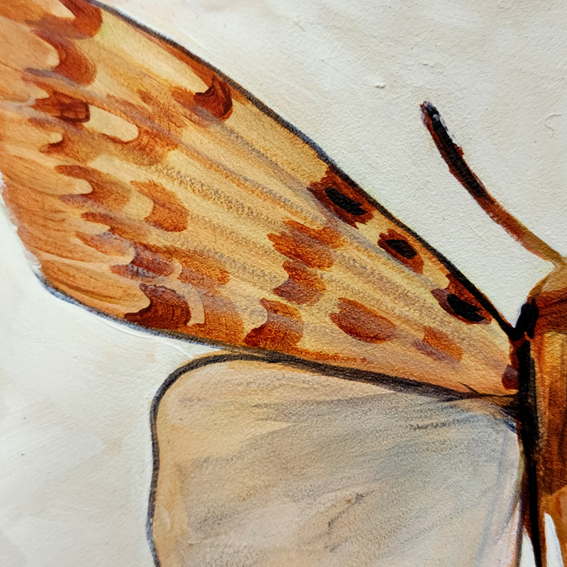 Close-up detail of Cedar Lee Painting: Tropical Moth 3