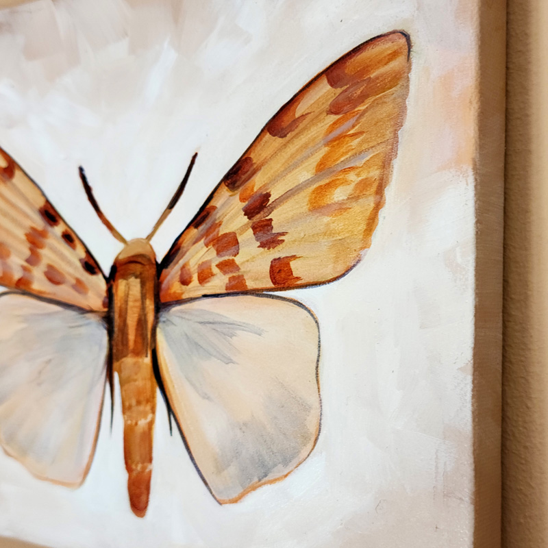 Close-up detail of Cedar Lee Painting: Tropical Moth 3