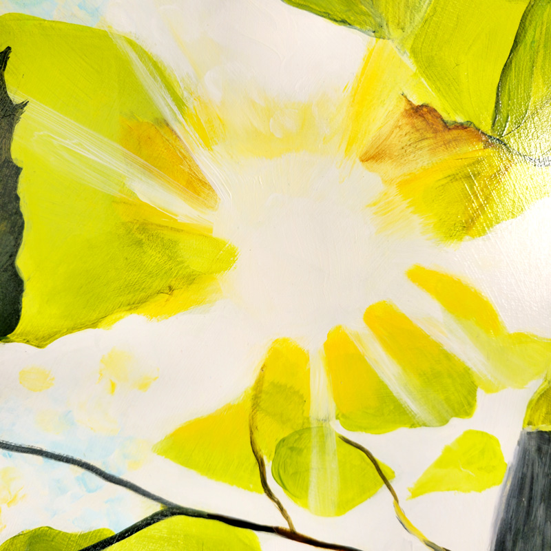 Close-up detail of sun shining through leaves