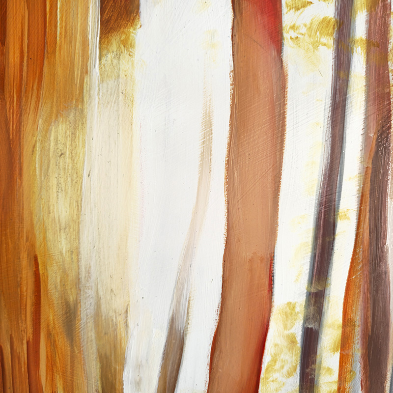 Closeup detail of sun shining through tree trunks in Cedar Lee painting