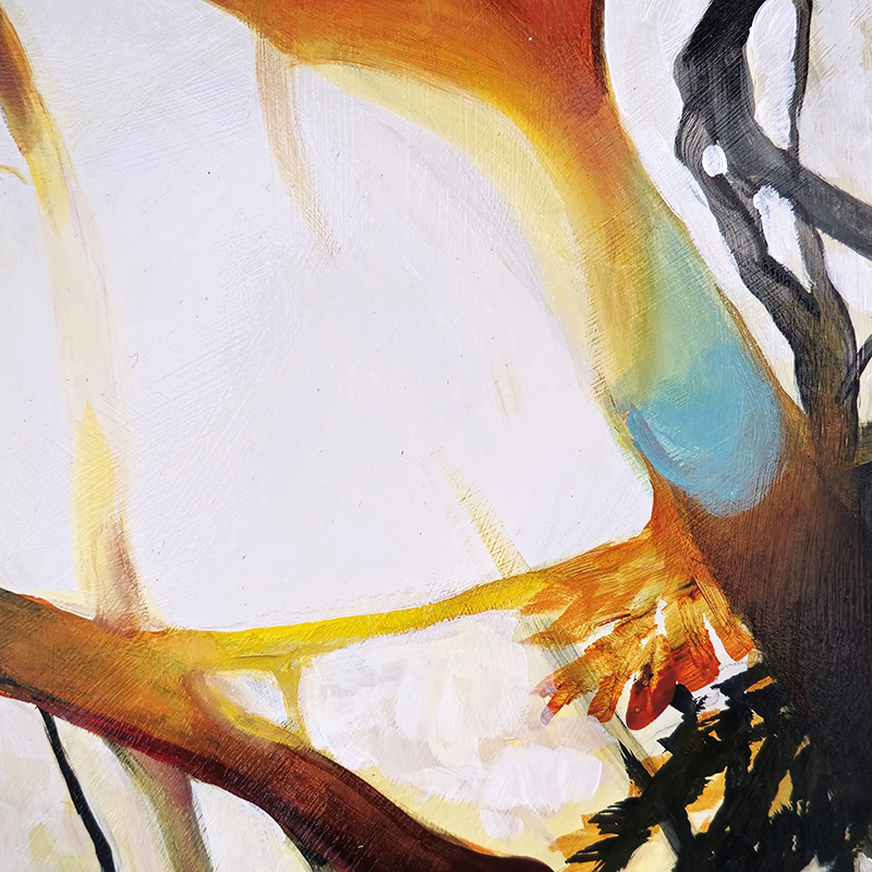 Closeup detail of bright white sun shining through tree branches in Cedar Lee painting