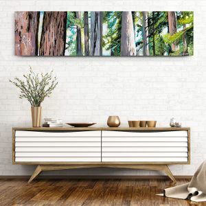 Trunks of Coastal Redwoods Art Print