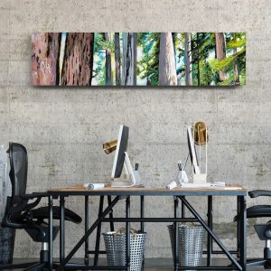 Trunks of Coastal Redwoods Painting