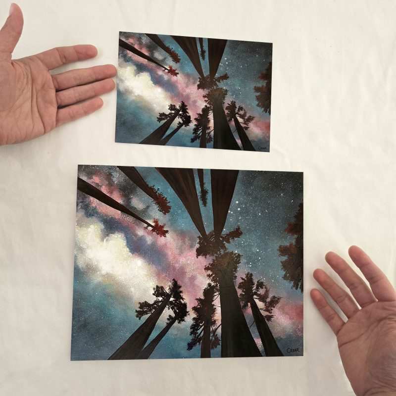 Pink Galaxy Redwood Night Size Comparison