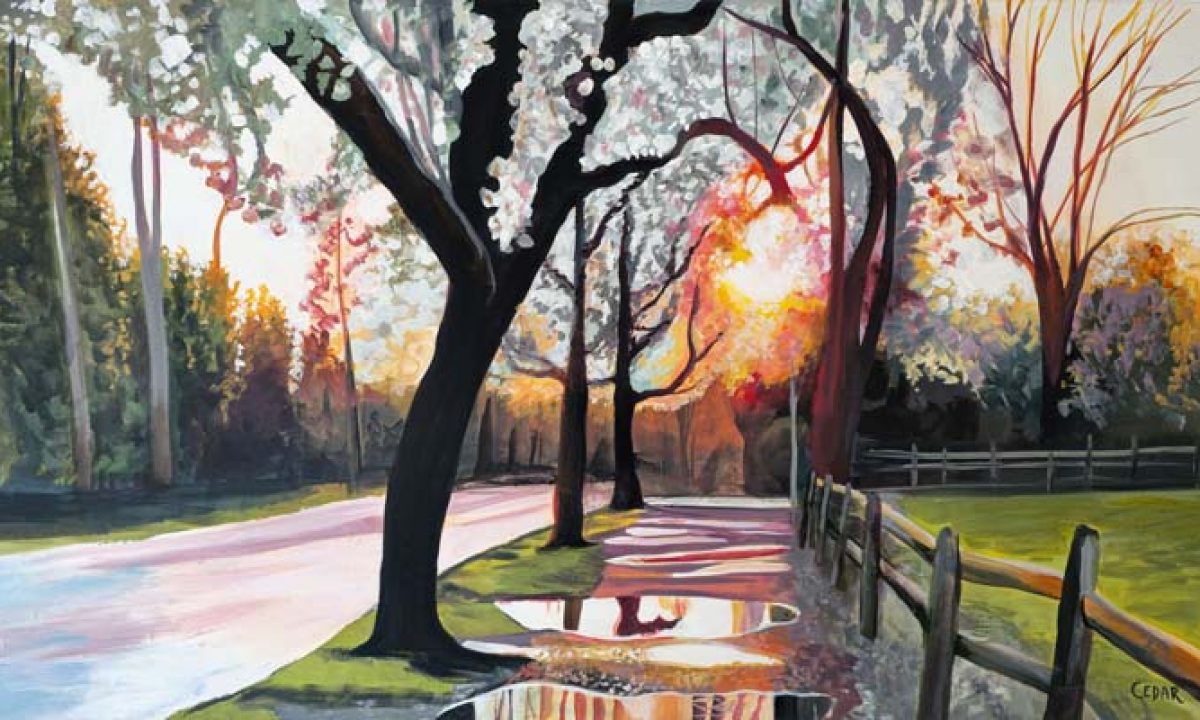 Spring-Puddles-1-1200x720.jpg