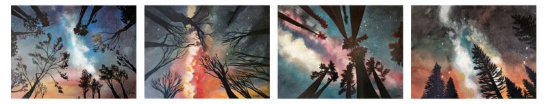 Starlight Collection