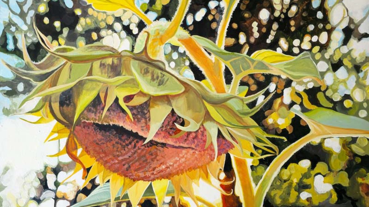 Summer's End | September Sunflower Painting - Art by Cedar Lee