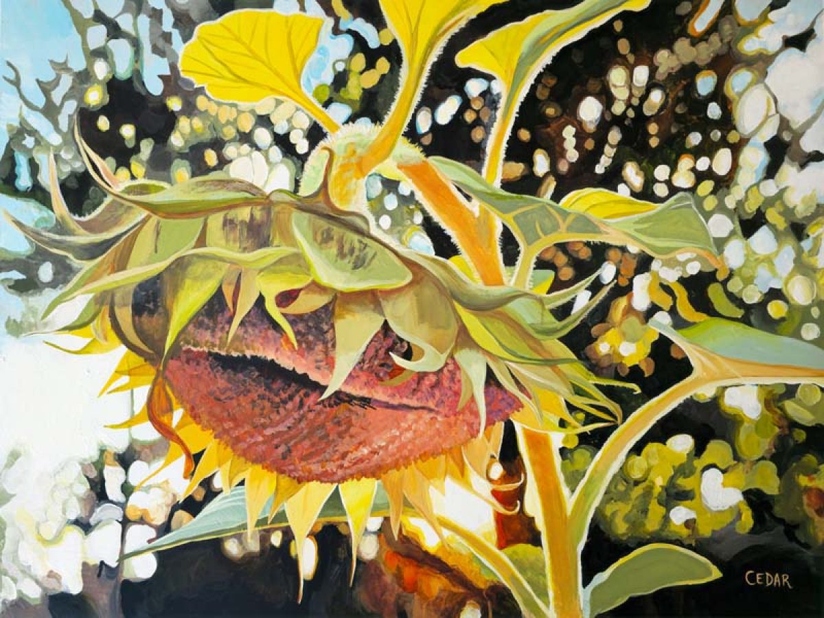 Summer's End | September Sunflower Painting - Art by Cedar Lee