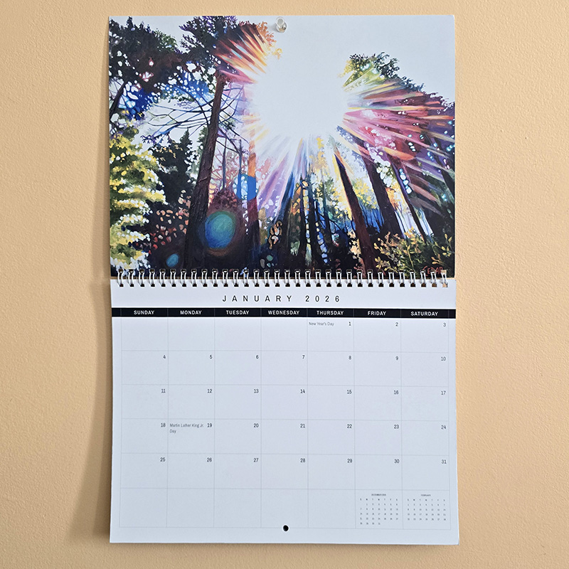 Art by Cedar Lee 2026 Wall Calendar