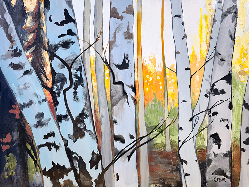 Birch Forest Afternoon