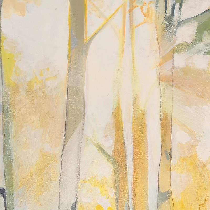 Closeup detail showing sunlight glowing through trees