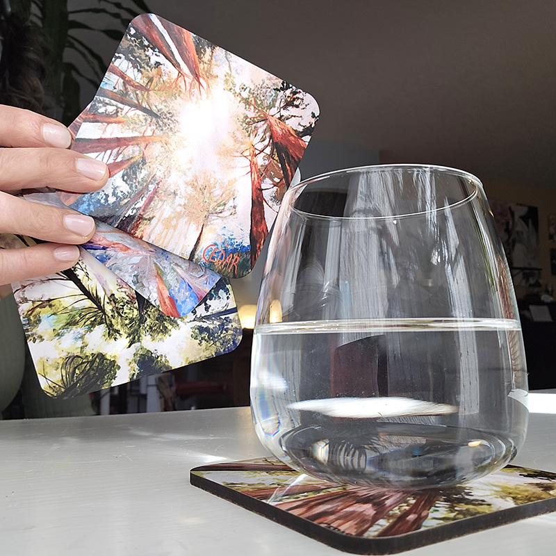 Art By Cedar Coasters