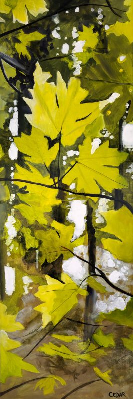 Big Leaf Maple in Fall. 36" x 12", Acrylic on Wood, © 2024 Cedar Lee