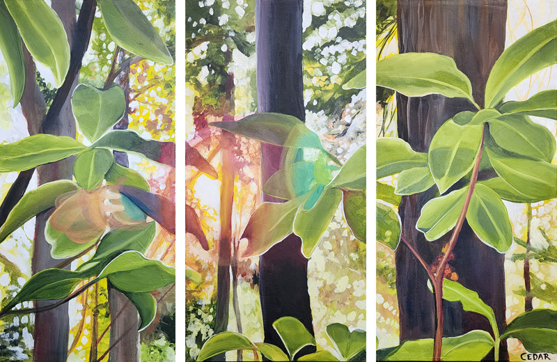 Rainbow Rhododendron. 3 panels, 20" x 30" Acrylic on Canvas, © 2024 Cedar Lee