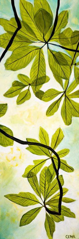 Sunlit Rhododendron: White. 36" x 12", Acrylic on Wood, © 2024 Cedar Lee