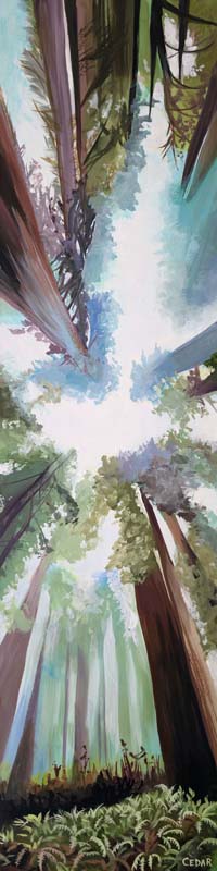 Winter Redwoods. 48" x 12", Acrylic on Wood, © 2025 Cedar Lee