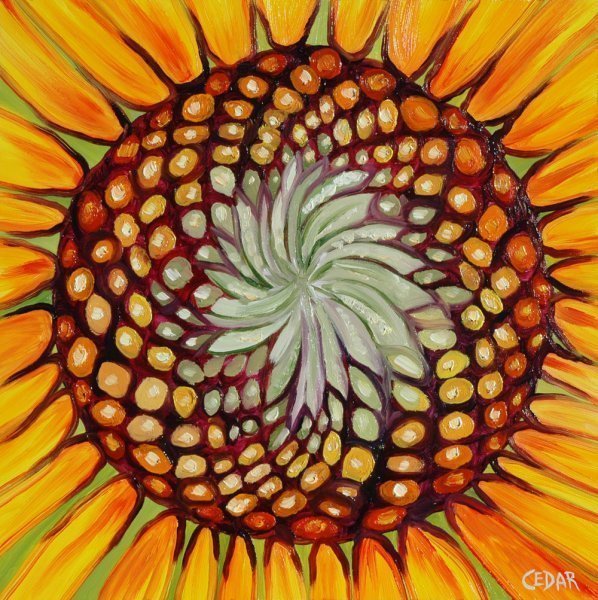 Sunflower Heart III. 16" x 16", Oil on Panel, © 2018 Cedar Lee