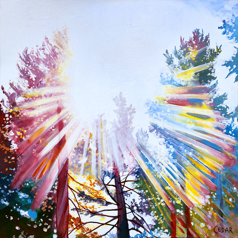 Sunburst Forest Art Print