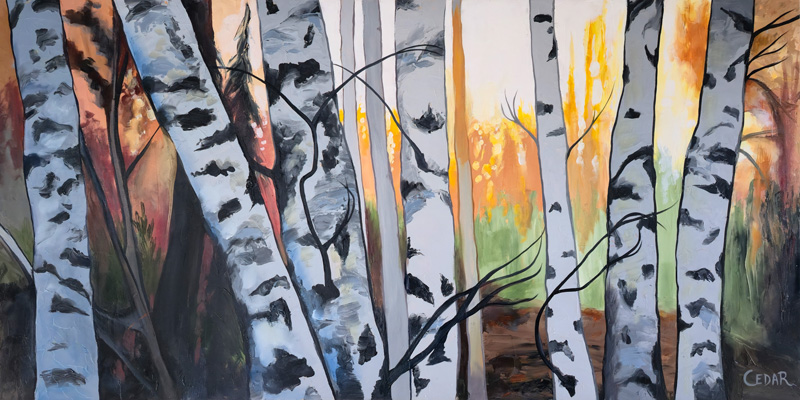 Birch Forest Afternoon 2 Art Reproduction