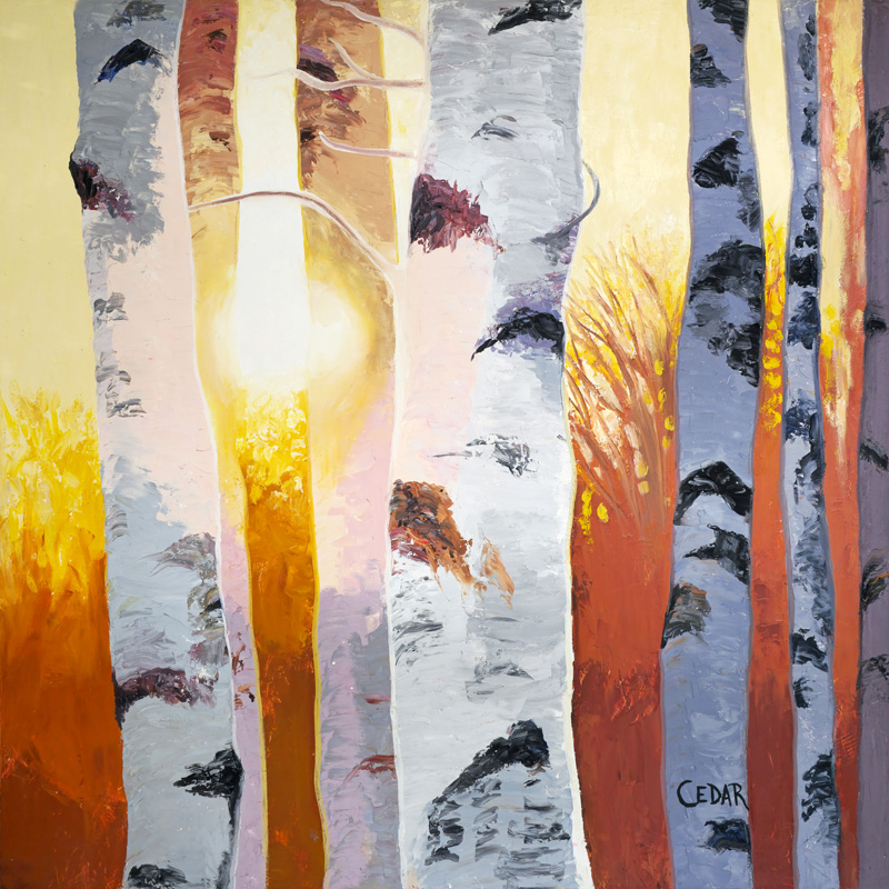 Birches at Sunset. 48" x 48", Oil on Wood, © 2026 Cedar Lee