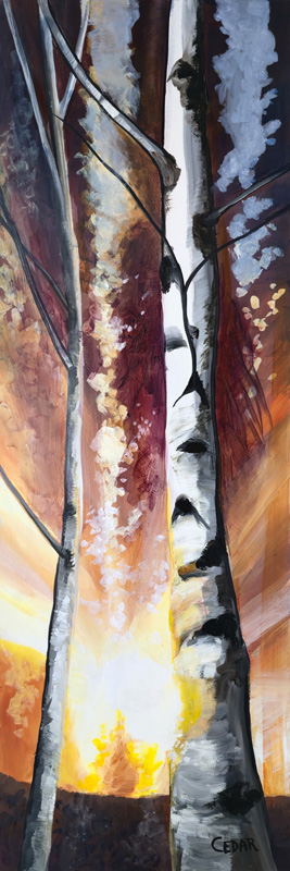 Morning Birches Art Reproduction